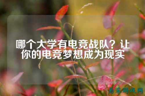 哪个大学有电竞战队?让你的电竞梦想成为现实