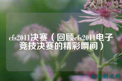 cfs2011决赛(回顾cfs2011电子竞技决赛的精彩瞬间)