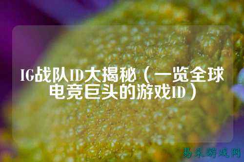 IG战队ID大揭秘（一览全球电竞巨头的游戏ID）