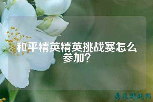 和平精英精英挑战赛怎么参加?