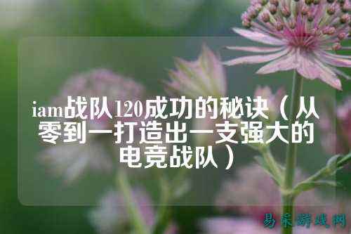 iam战队120成功的秘诀(从零到一打造出一支强大的电竞战队)