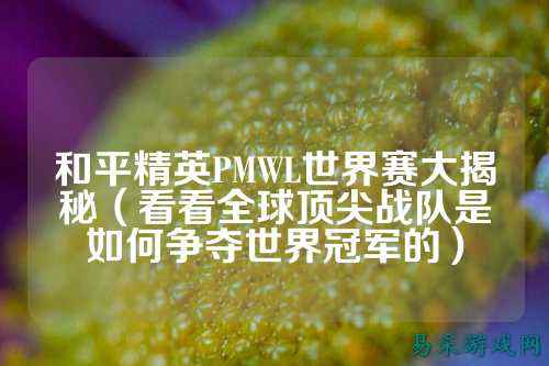 和平精英PMWL世界赛大揭秘(看看全球顶尖战队是如何争夺世界冠军的)