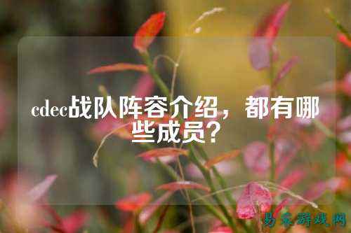 cdec战队阵容介绍,都有哪些成员?