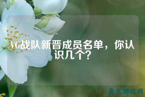 VG战队新晋成员名单,你认识几个?