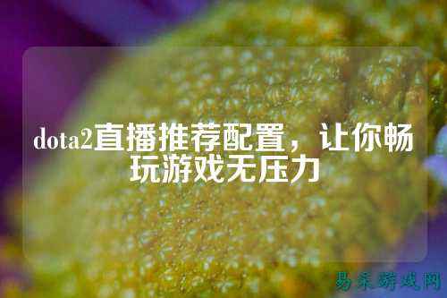 dota2直播推荐配置,让你畅玩游戏无压力