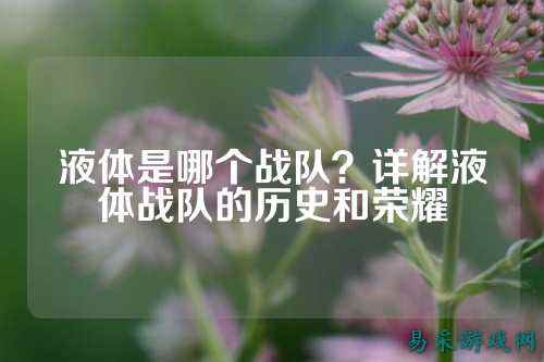 液体是哪个战队？详解液体战队的历史和荣耀