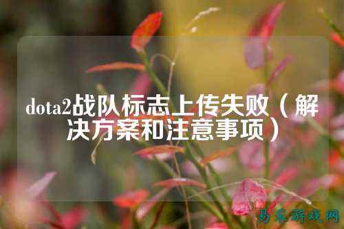 dota2战队标志上传失败（解决方案和注意事项）