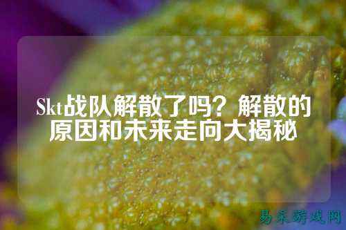 Skt战队解散了吗？解散的原因和未来走向大揭秘
