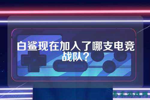 白鲨现在加入了哪支电竞战队？