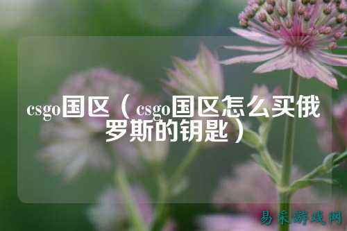 csgo国区(csgo国区怎么买俄罗斯的钥匙)