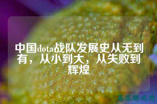 中国dota战队发展史从无到有,从小到大,从失败到辉煌