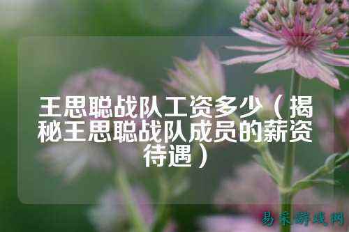 王思聪战队工资多少(揭秘王思聪战队成员的薪资待遇)