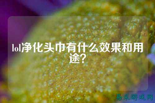 lol净化头巾有什么效果和用途?