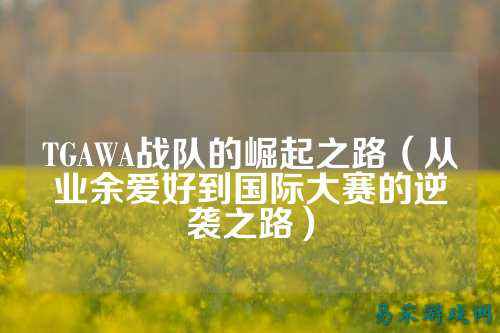TGAWA战队的崛起之路(从业余爱好到国际大赛的逆袭之路)