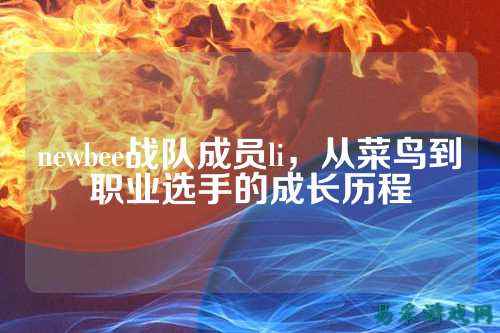 newbee战队成员li,从菜鸟到职业选手的成长历程