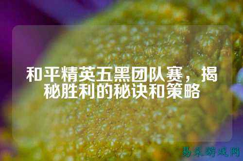 和平精英五黑团队赛,揭秘胜利的秘诀和策略