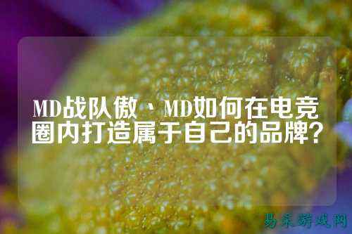 MD战队傲丶MD如何在电竞圈内打造属于自己的品牌?