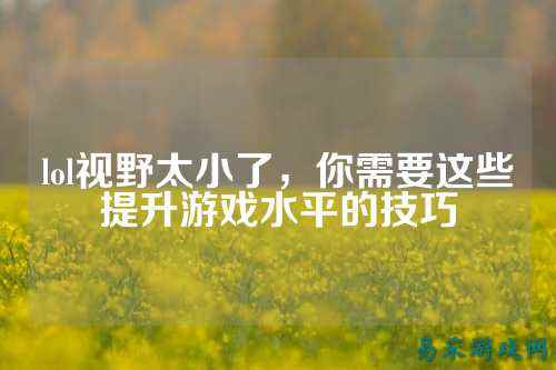 lol视野太小了,你需要这些提升游戏水平的技巧