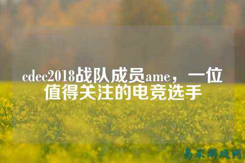 cdec2018战队成员ame,一位值得关注的电竞选手