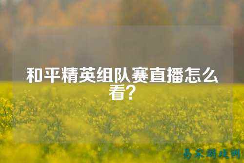 和平精英组队赛直播怎么看?