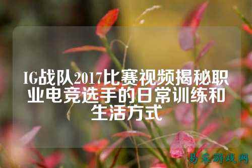 IG战队2017比赛视频揭秘职业电竞选手的日常训练和生活方式