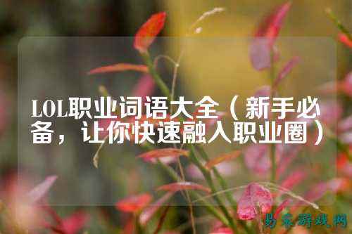 LOL职业词语大全(新手必备,让你快速融入职业圈)