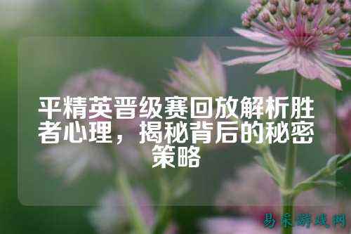 平精英晋级赛回放解析胜者心理,揭秘背后的秘密策略