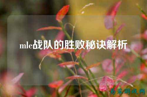 mle战队的胜败秘诀解析