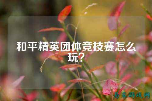 和平精英团体竞技赛怎么玩?
