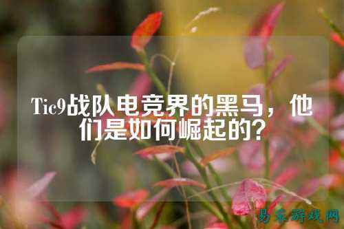 Tic9战队电竞界的黑马，他们是如何崛起的？