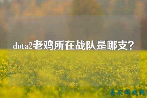 dota2老鸡所在战队是哪支?