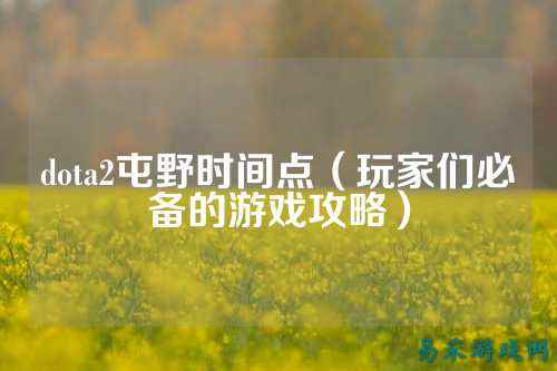 dota2屯野时间点(玩家们必备的游戏攻略)
