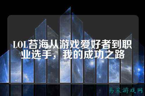 LOL苔海从游戏爱好者到职业选手，我的成功之路