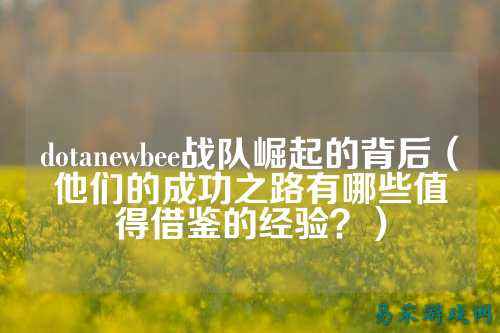 dotanewbee战队崛起的背后(他们的成功之路有哪些值得借鉴的经验?)