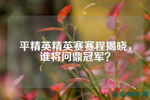 平精英精英赛赛程揭晓，谁将问鼎冠军？