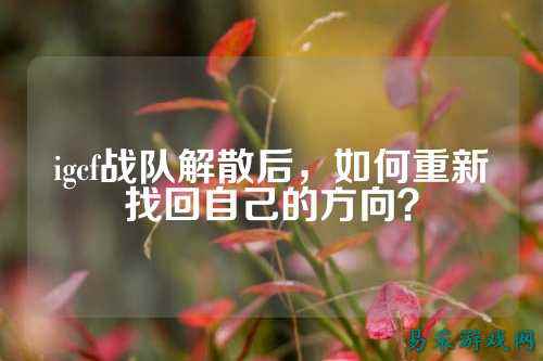 igcf战队解散后，如何重新找回自己的方向？
