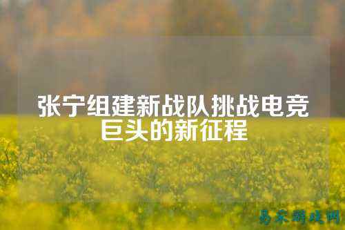 张宁组建新战队挑战电竞巨头的新征程