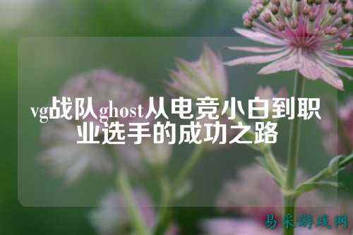 vg战队ghost从电竞小白到职业选手的成功之路