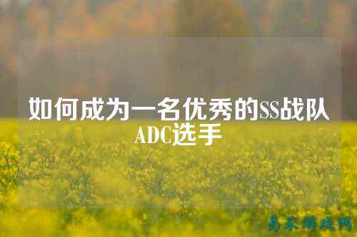 如何成为一名优秀的SS战队ADC选手
