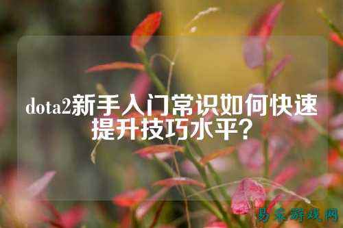 dota2新手入门常识如何快速提升技巧水平?
