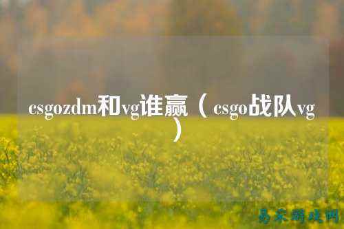 csgozdm和vg谁赢(csgo战队vg)