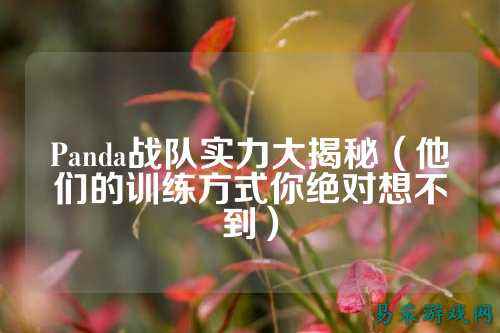 Panda战队实力大揭秘(他们的训练方式你绝对想不到)