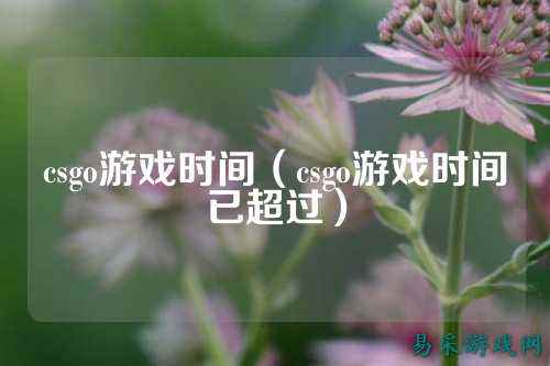 csgo游戏时间(csgo游戏时间已超过)