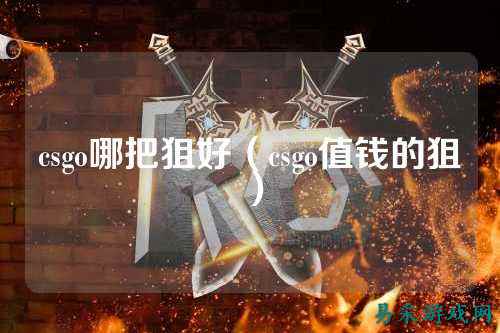 csgo哪把狙好(csgo值钱的狙)