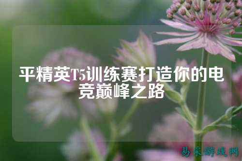 平精英T5训练赛打造你的电竞巅峰之路