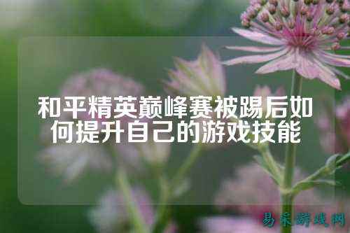 和平精英巅峰赛被踢后如何提升自己的游戏技能