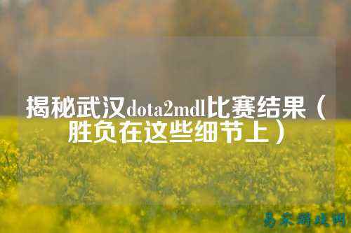 揭秘武汉dota2mdl比赛结果(胜负在这些细节上)