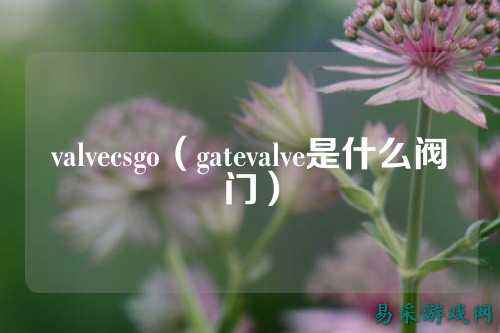 valvecsgo（gatevalve是什么阀门）