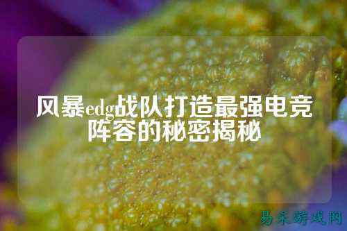 风暴edg战队打造最强电竞阵容的秘密揭秘