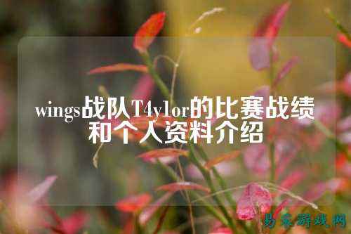 wings战队T4y1or的比赛战绩和个人资料介绍